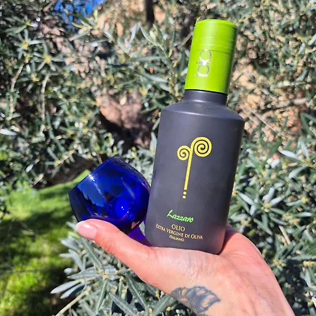 Ai Massi Aparthotel Casale Marittimo