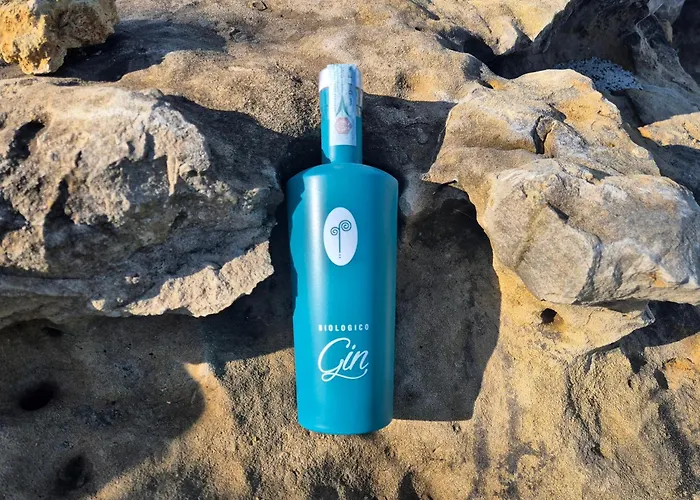 아파트호텔 Ai Massi 4*